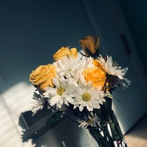 Meet your Posher, Destiny